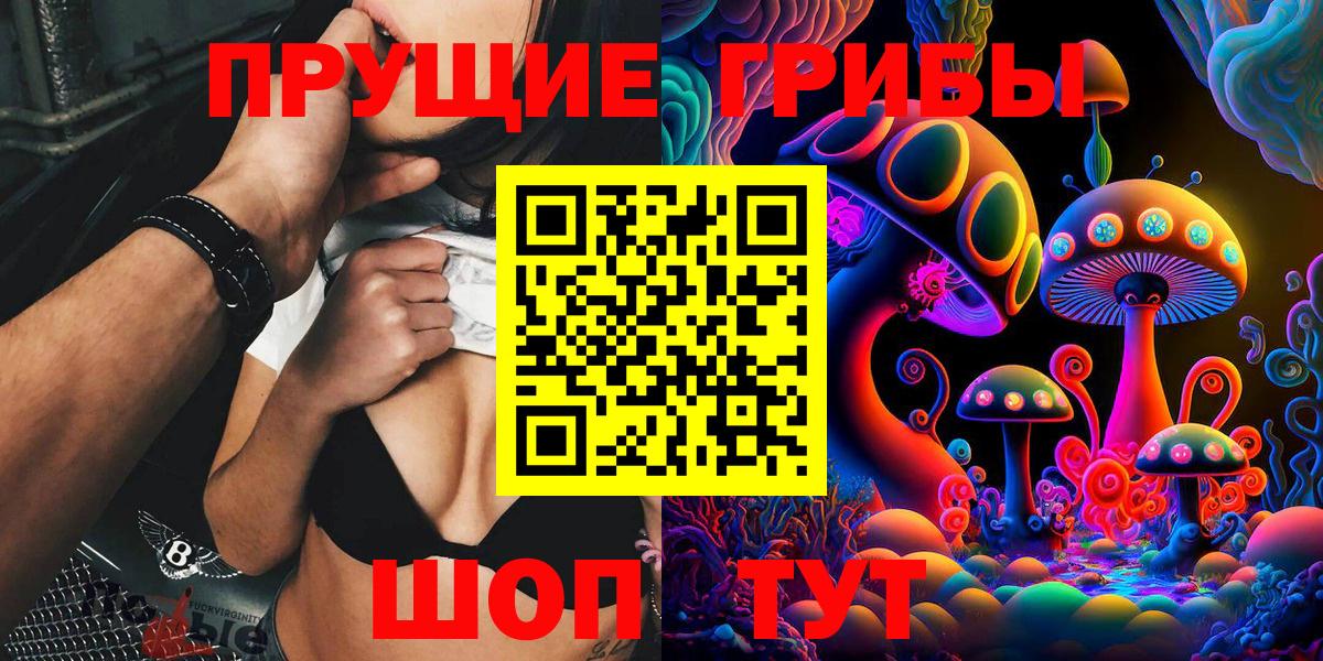 Псилоцибиновые грибы Cubensis Кострома